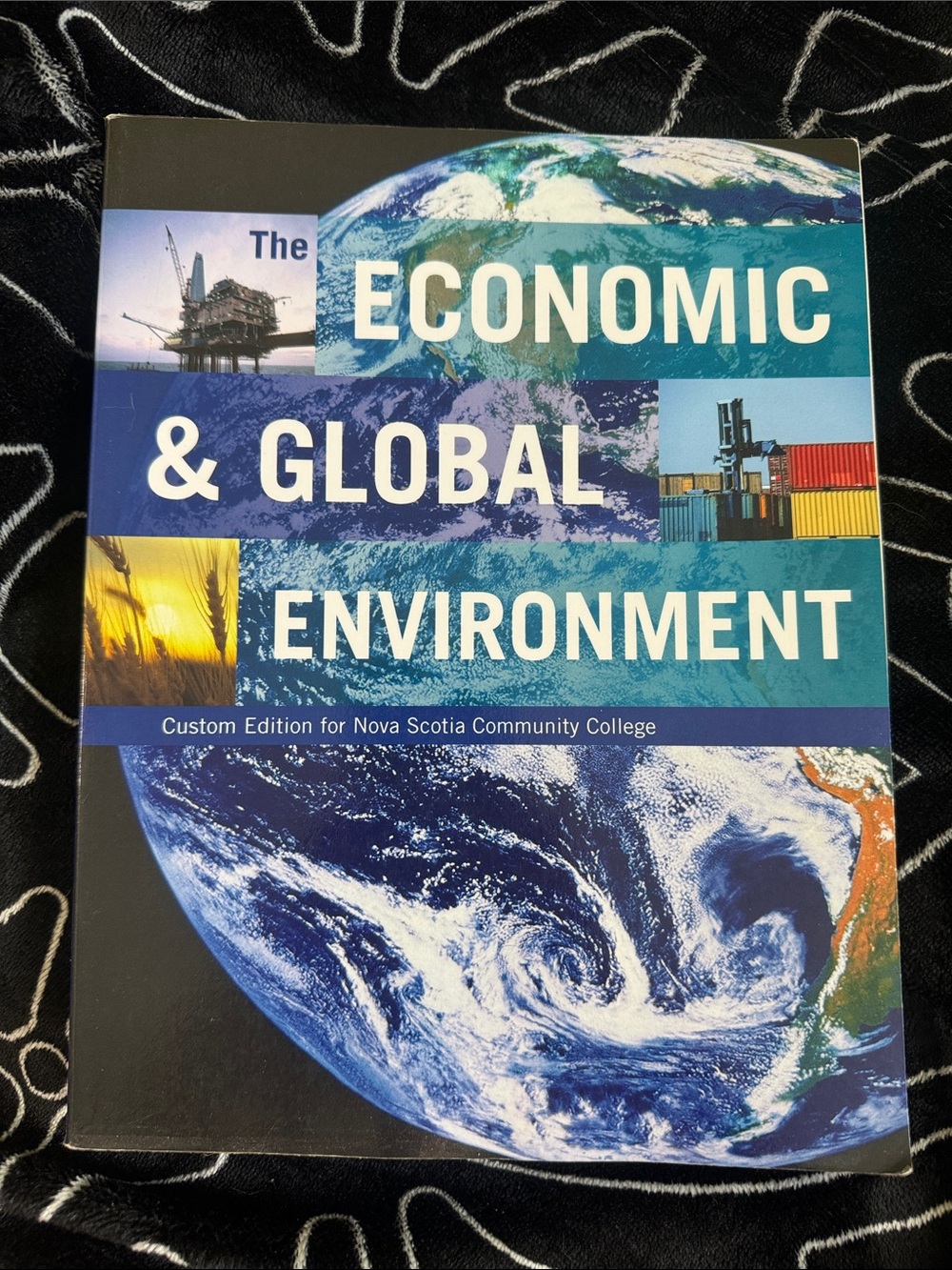 The Economic & Global Environment Textbook